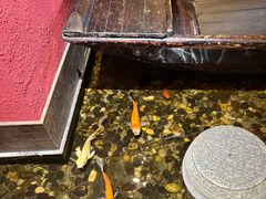 -颐和•海鲜砂锅粥•啫啫煲(奥林匹克广场店)