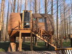 -黄海国家森林公园