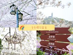 -苏州上方山国家森林公园