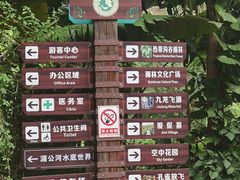 -西双版纳原始森林公园