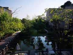 -上海崇明金茂凯悦酒店