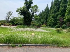 -金岛生态园烧烤露营地