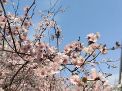 -杭州师范大学(下沙校区)