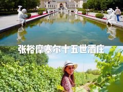 -龙谕酒庄