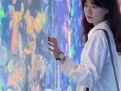 -烟台海昌鲸鲨海洋公园