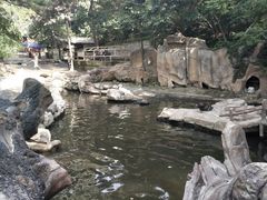 -燕塞湖鸟语林景区