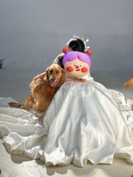 -乐派诗婚纱摄影