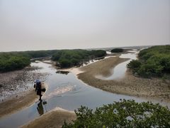 -北海金海湾红树林生态旅游区