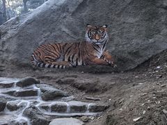 -鲁山国家森林公园