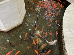 -碧中海汤泉汗蒸酒店