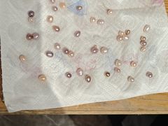 -十八字金·银饰·开蚌DIY·手工体验团建(魏公芳华里店)