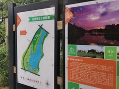 -月湖风景区