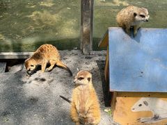 -水上乐园·欢乐世界