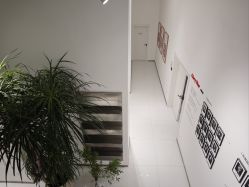 -重庆三毛摄影