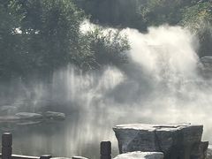 -北京西山国家森林公园