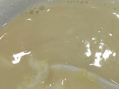 -汕头君华海逸酒店·鸿桃轩中餐厅