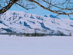 -新疆那拉提国家旅游度假区