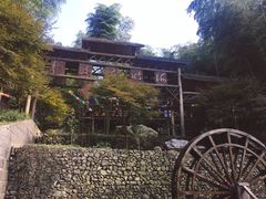 -宁波浙东大竹海景区