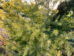 -东钱湖旅游度假区