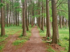 -汉水公园