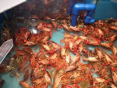-星伦多 自助料理(圆融店)