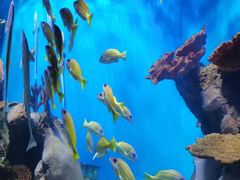 -多彩贵州城极地海洋世界