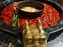-蜀大侠火锅(建设路第五大道店)