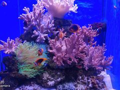 -多彩贵州城极地海洋世界