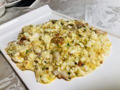 -丁老爷子苏香圆