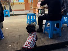 -广达眼镜炖罐(广达店)