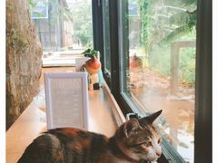 -猫的天空之城概念书店(景德镇陶溪川店)