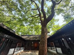 -上海醉白池公园