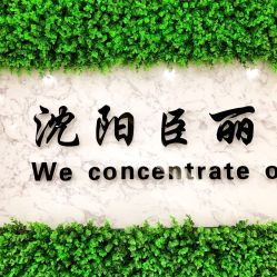 -臣丽纹眉品牌连锁
