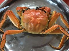 -喜洋洋蟹庄(阳澄湖店)