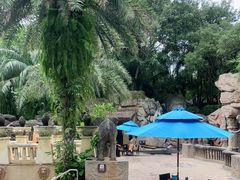 -海口观澜湖火山温泉谷