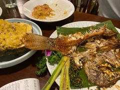 -紫滇源云南生态菜(丹凤街店)