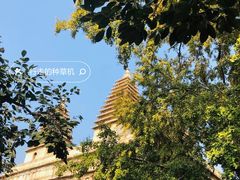 -北京石刻艺术博物馆(五塔寺)