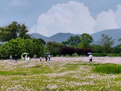 -良渚古城遗址公园