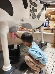 -奈尔宝·国风主题儿童乐园·亲子餐厅(豫园商城店)