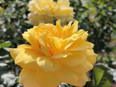 -人民公园(罗湖区)