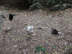 -云龙山