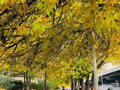 -北京化工大学(东校区)