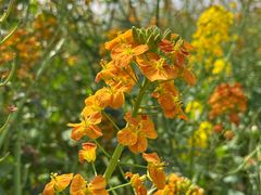 -中国天府农业博览园