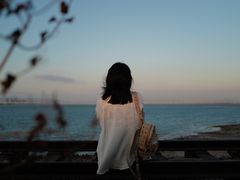 -海堤纪念公园