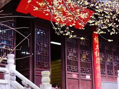 -灵谷景区