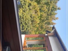-礼耕堂·百年茶人餐厅(梅家坞店)