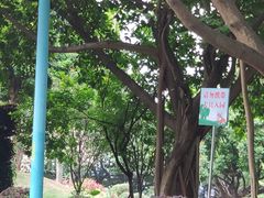 -南宁南湖公园