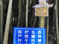 -苏州环秀晓筑养生度假村
