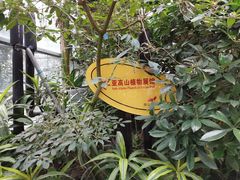 -南山植物园