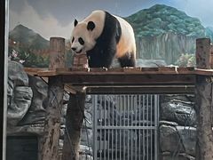 -武汉动物园